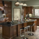 23 Enviable Black Granite Kitchen Countertop Designs